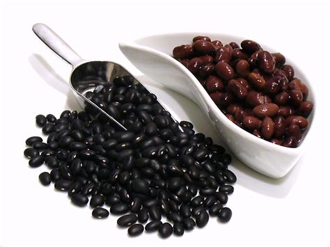 what-are-black-beans-the-spruce-eats image