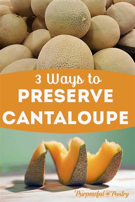 4-ways-to-preserve-cantaloupe-the-purposeful-pantry image