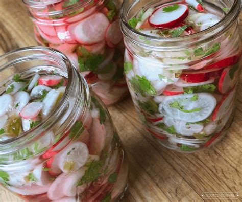 how-to-make-radish-quick-pickles-rooted-revival image