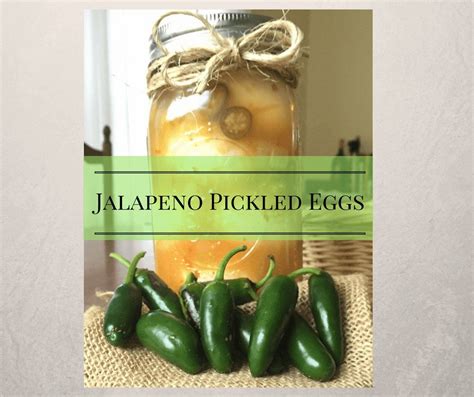 jalapeno-pickled-eggs-a-chick-and-her-garden image