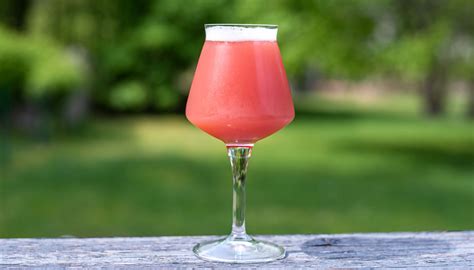 fruited-raspberry-sour-recipe-with-philly-sour-hazy image