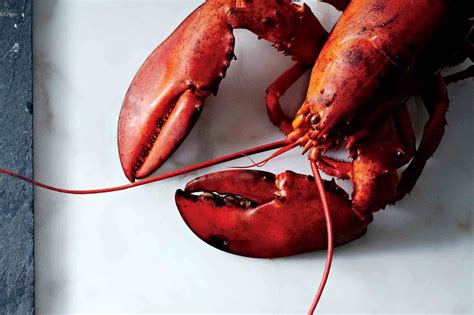 boiled-fresh-lobsters-canadian-living image