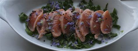 easy-and-delicious-salmon-ceviche-recipe-italian-notes image