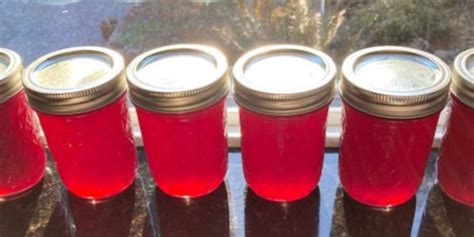 canned-raspberry-syrup-recipe-fluxing-well image