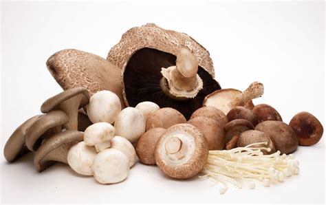 home-mushrooms-canada image
