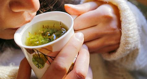gallery-of-herbal-teas-types-and-benefits-of-herbal image