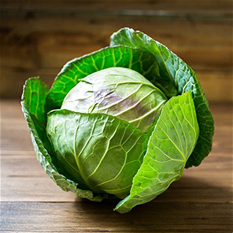 cabbage-metro image
