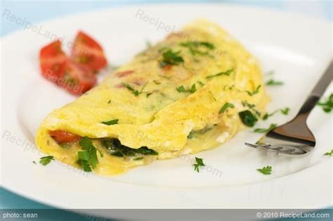 breakfast-spinach-and-tomato-cheese-omelet image