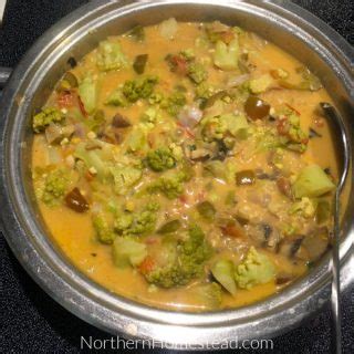 summer-vegetable-curry-recipe-year-round-northern image