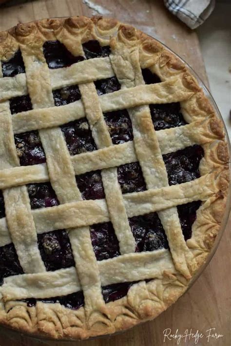 old-fashioned-blueberry-pie-recipe-fresh-homemade image