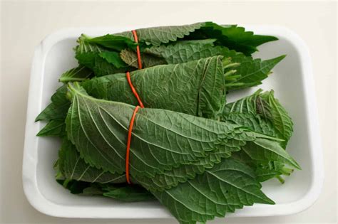 perilla-leaves-kkaennip-maangchis-korean-cooking image
