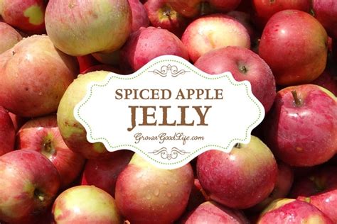 spiced-apple-jelly-recipe-no-added-pectin-grow-a image