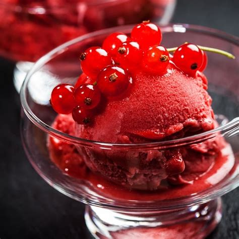 the-best-cranberry-sorbet-recipe-my-edible-food image