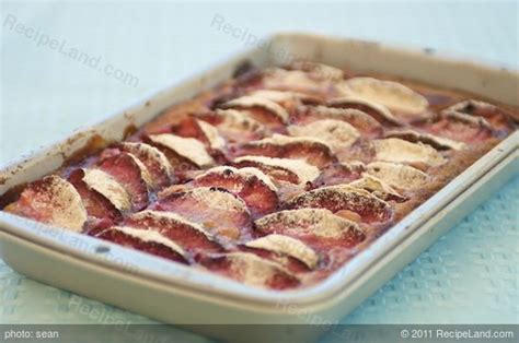pflaumenkuchen-plum-cake-recipe-recipelandcom image