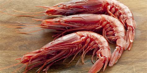 red-prawn-recipes-great-italian-chefs image