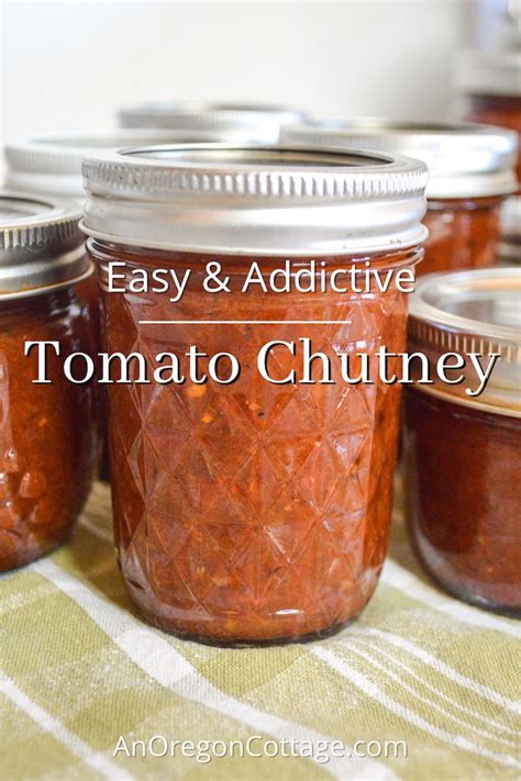 easy-addictive-tomato-chutney-recipe-regular-lower image