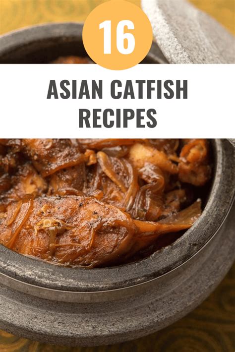16-asian-catfish-recipes-for-a-flavorful-dinner-happy-muncher image