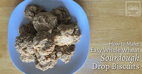 how-to-make-easy-whole-wheat-sourdough-drop-biscuits image