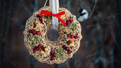 3-adorable-birdseed-wreath-recipes-petsradar image