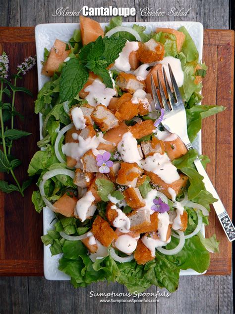minted-cantaloupe-chicken-salad image