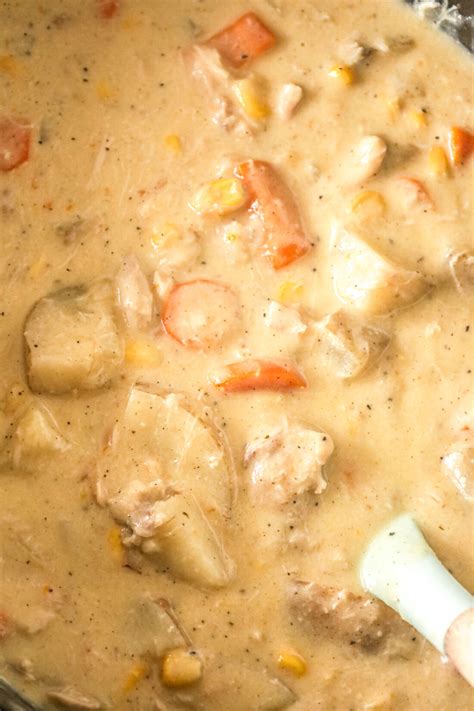 crock-pot-chicken-stew-this-is-not-diet-food image