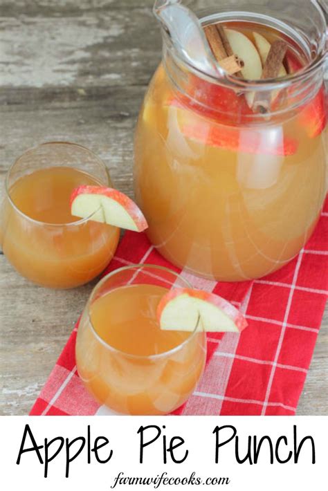 spiked-apple-pie-punch-the-farmwife-cooks image