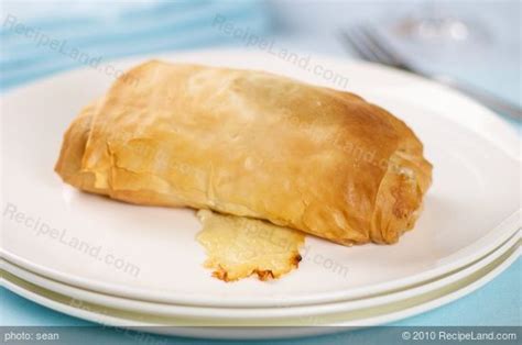 chicken-in-phyllo image