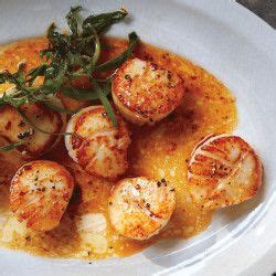 seared-scallops-with-fresh-fennel-salad-and image