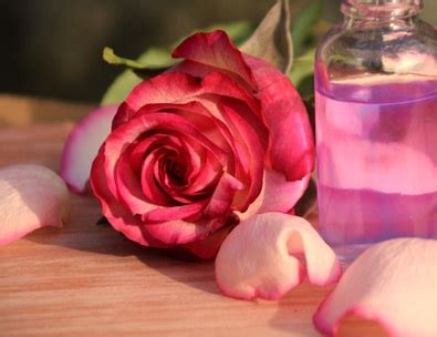 rose-water-natural-all-rounder image
