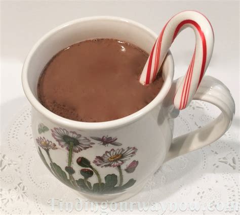 slow-cooker-hot-cocoa-recipe-finding-our-way-now image