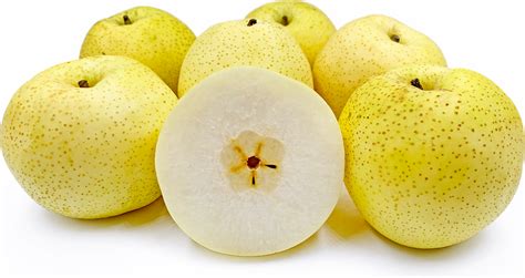 golden-pears-information-and-facts-specialty-produce image