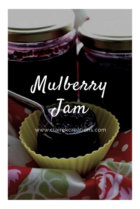mulberry-jam-recipe-simple-quick-delicious image