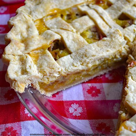 best-pie-crust-recipes-plus-10-tips-for-perfect-pies image