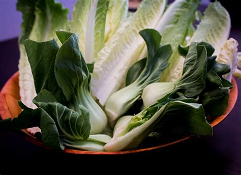 sauted-baby-bok-choy-servings image