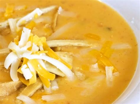 copycat-ground-round-mexican-chicken-tortilla-soup image