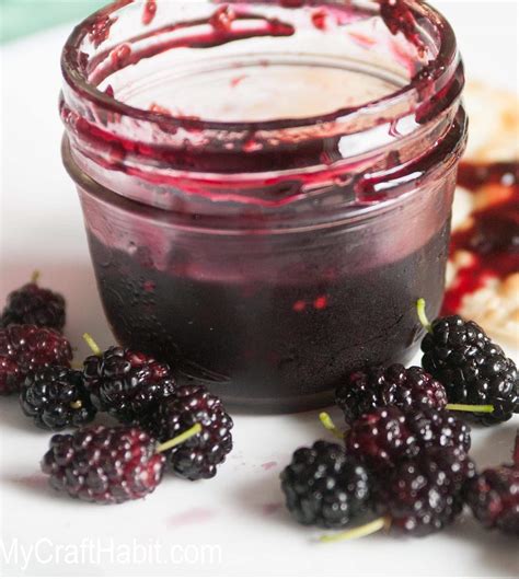 make-your-own-delicious-mulberry-jam-just-5-ingredients image