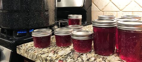 highbush-cranberry-jelly-modern-carnivore image