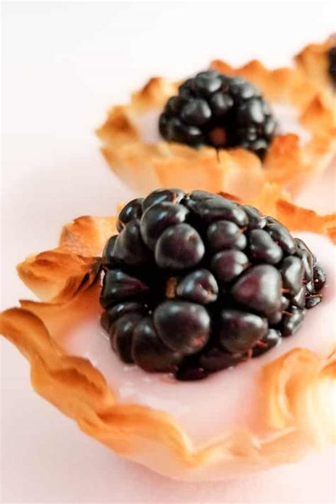 3-ingredient-mini-fruit-tart-with-yogurt image