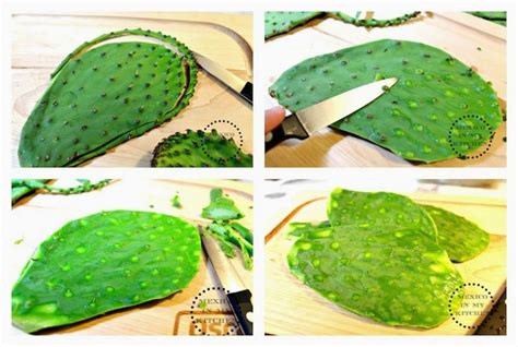 how-to-cook-nopales-cactus-paddles-quick-and image