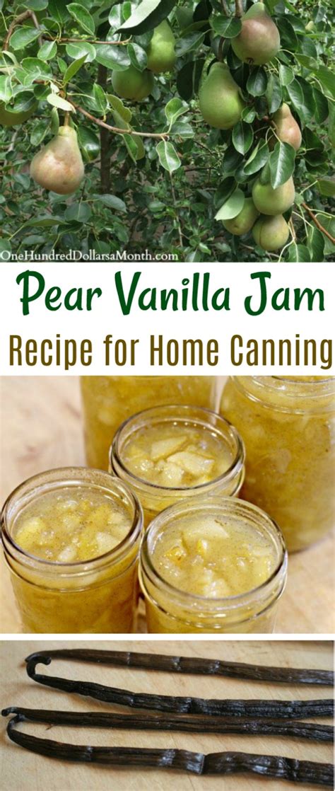 pear-vanilla-jam-recipe-one-hundred-dollars-a image