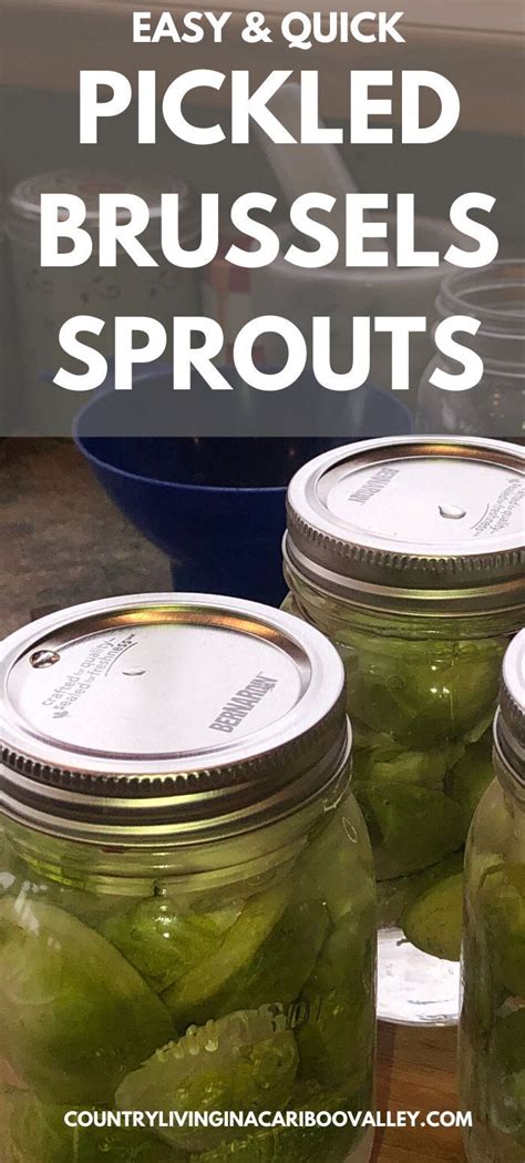 easy-pickled-brussels-sprouts-recipe-water-bath image
