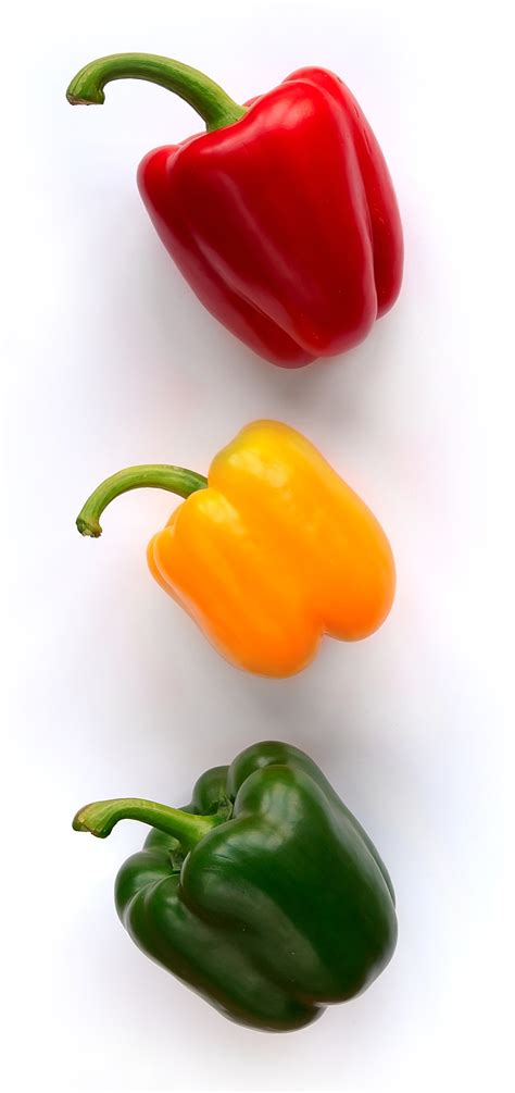 bell-pepper-wikipedia image