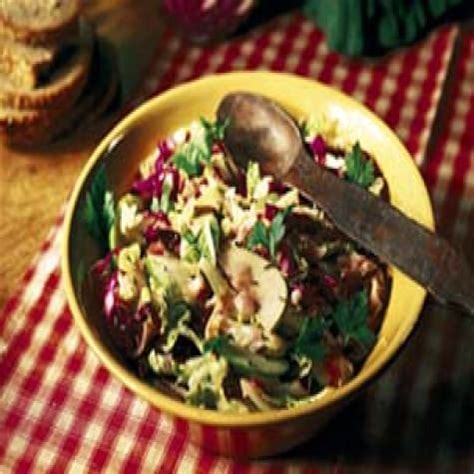 warm-cabbage-salad-williams-sonoma image