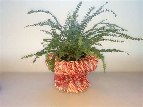 making-a-candy-cane-planter-my-frugal-christmas image