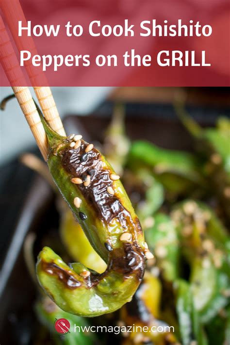 how-to-cook-shishito-peppers-on-the-grill-healthy image
