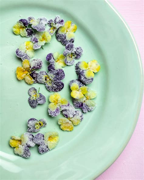 how-to-make-candied-edible-flowers-baking-butterly-love image