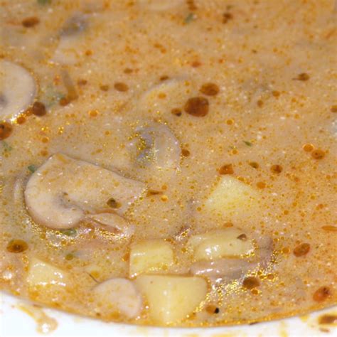 croatian-mushroom-soup-bigovencom image