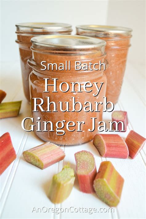 small-batch-honey-rhubarb-ginger-jam-an-oregon image