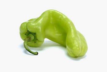 how-to-grow-pepperoncini-home-guides-sf-gate image