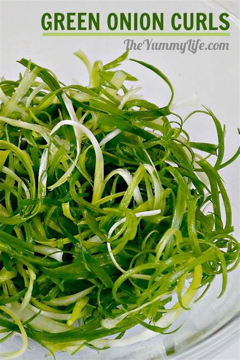 easy-green-onion-curls-the-yummy-life image